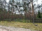 Działka pod zabudowę mieszkaniową leśny zakątek - 6