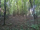 Działka budowlana Łazy gm. Jerzmanowice-Przeginia - 2