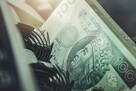 BŁYSKAWICZNA POŻYCZKA DLA ZADŁUŻONYCH, DO 100.000 zł - 11