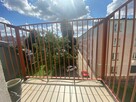 Mieszkanie o pow. 57.83m2, balkon, III p, ul. Zgodna - 3