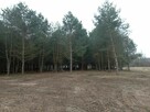 Sprzedam działkę pod Mszczonowem - 3