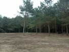 Sprzedam działkę pod Mszczonowem - 4