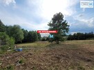 Działka usługowa Miedziana Góra Kostomłoty Pierwsze - 1