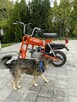 Romet inny Motorynka  ( Polski Harley dla ubogich ) - 10