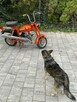 Romet inny Motorynka  ( Polski Harley dla ubogich ) - 12