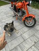 Romet inny Motorynka  ( Polski Harley dla ubogich ) - 13
