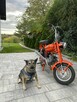 Romet inny Motorynka  ( Polski Harley dla ubogich ) - 14