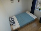 2 pokoje przyjazne zwierzętom, Cmentarna 24 - 7
