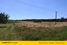 Działka na sprzedaż - Skęczniew - 4