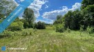 Piękna, zielona działka wśród lasów, z warunkami zabudowy. - 1