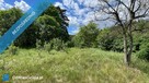 Piękna, zielona działka wśród lasów, z warunkami zabudowy. - 7