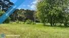 Piękna, zielona działka wśród lasów, z warunkami zabudowy. - 9