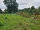 Działka budowlana Brześć Kujawski - 3