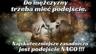 Poznam, polubię, pokocham.... - 2