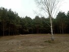 Sprzedam działkę pod Mszczonowem - 2