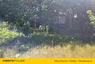 Niesamowita działka budowlana tuż nad rzeką! - 13