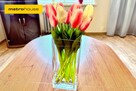 Mieszkanie 2 pokojowe blisko centrum- do wynajęcia - 16