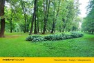 MIESZKANIE 2 POKOJE AL. MAJOWA  BEZ BARIER Z WINDĄ - 10