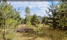 Piękne działki budowlane 1001 m2 i 1092 m2 - 3