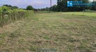 Duża działka w świetnej lokalizacji ! - 5