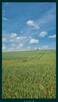 Działka rolna gm. Sobków 1,86ha - 3