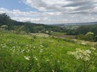 Wyjątkowa działka budowlana z panoramicznym widokiem na Tarn - 6