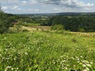 Wyjątkowa działka budowlana z panoramicznym widokiem na Tarn - 7