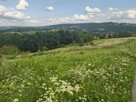 Wyjątkowa działka budowlana z panoramicznym widokiem na Tarn - 16
