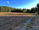 Działki z warunkami zabudowy - 1200 m2, Franciszków - 2