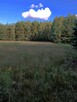Działki z warunkami zabudowy - 1200 m2, Franciszków - 3