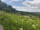 Wyjątkowa działka budowlana z panoramicznym widokiem na Tarn - 9