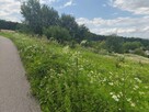 Wyjątkowa działka budowlana z panoramicznym widokiem na Tarn - 15