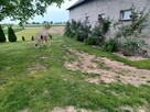 Sprzedam dom - 8