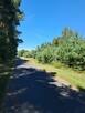 Działki budowlane o powierzchni 1253m2, 1348m2,Prażuchy Nowe - 2