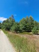 Działki budowlane o powierzchni 1253m2, 1348m2,Prażuchy Nowe - 7