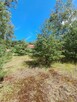 Działki budowlane o powierzchni 1253m2, 1348m2,Prażuchy Nowe - 5