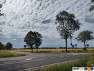 Działka-wniosek o WZ blisko Narwi 35km od Warszawy - 3