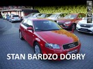 Audi A3 1.6mpi Stan Idealny 100%bezwypadkowy z Niemiec Gwarancja 12mcy 1właść - 1