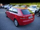 Audi A3 1.6mpi Stan Idealny 100%bezwypadkowy z Niemiec Gwarancja 12mcy 1właść - 4