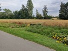 Działka rolna Książnice gm. Pacanów - 1