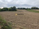 Działka rolna Książnice gm. Pacanów - 2