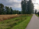 Działka rolna Książnice gm. Pacanów - 5