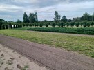 Sprzedam dom - 1