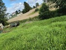 Działka siedliskowa - 16