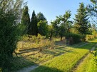 Tania działka ROD 459 m², 2 km od Opola, cena tylko 10000 zł - 3