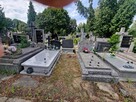 Odstąpię Miejsce, Kwaterę, Prawa Do Pochówku Na Cmentarzu Br - 3