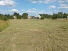 Terespol - sprzedam działkę inwestycyjną 67a - 6