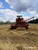 Sprzedam kombajn Bizon Z056 - 4