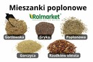 Nasiona Łubin Facelia Gorczyca Wyka Mieszanka poplonowa - 2