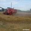 Sprzedam kombajn Bizon Z056 - 2